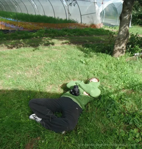 /membres/images/83700288762628507/2011/sept_octo/sieste600marq.webp