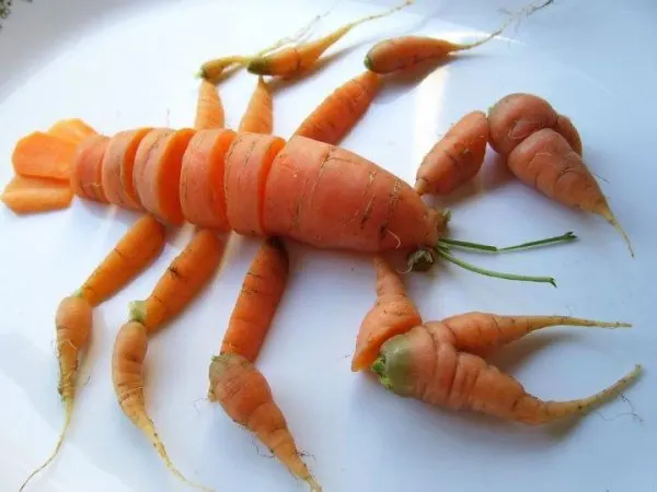 /membres/images/83700288762628507/2012/01_02/langouste.webp