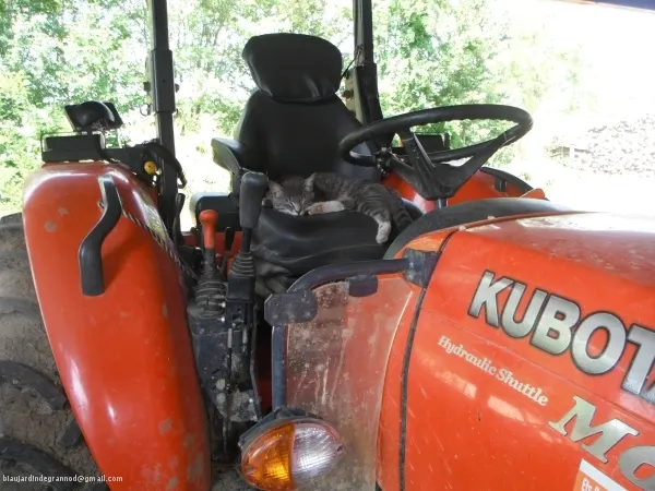 /membres/images/83700288762628507/2012/05_06/chat_tracteur_600marq.webp