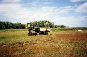 /membres/images/83700288762628507/drainage300/draineuse300.webp