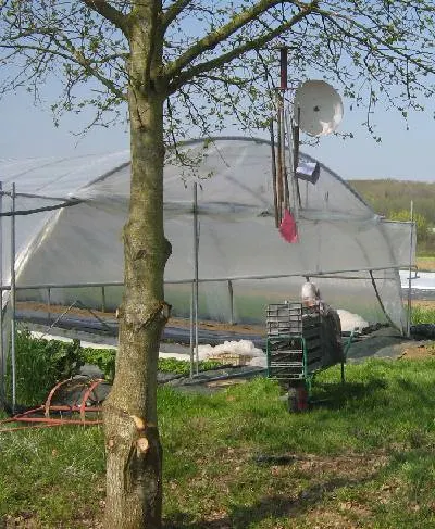 /membres/images/83700288762628507/fevmars2010/400yvon.webp