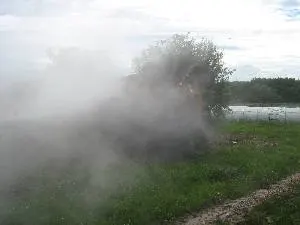 /membres/images/83700288762628507/fevmars2010/fume300.webp