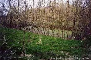/membres/images/83700288762628507/pages/drainage_bassin_arbres300marq.webp