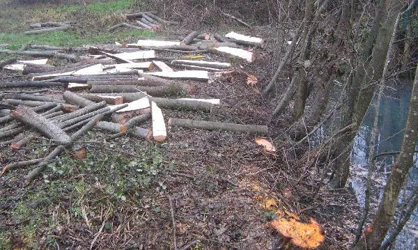 /membres/images/83700288762628507/rebois/biaurepos1600.webp