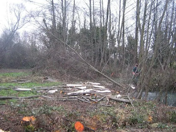 /membres/images/83700288762628507/rebois/biaurepos2600.webp