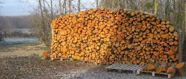 /membres/images/83700288762628507/rebois/biaurepos5600.webp