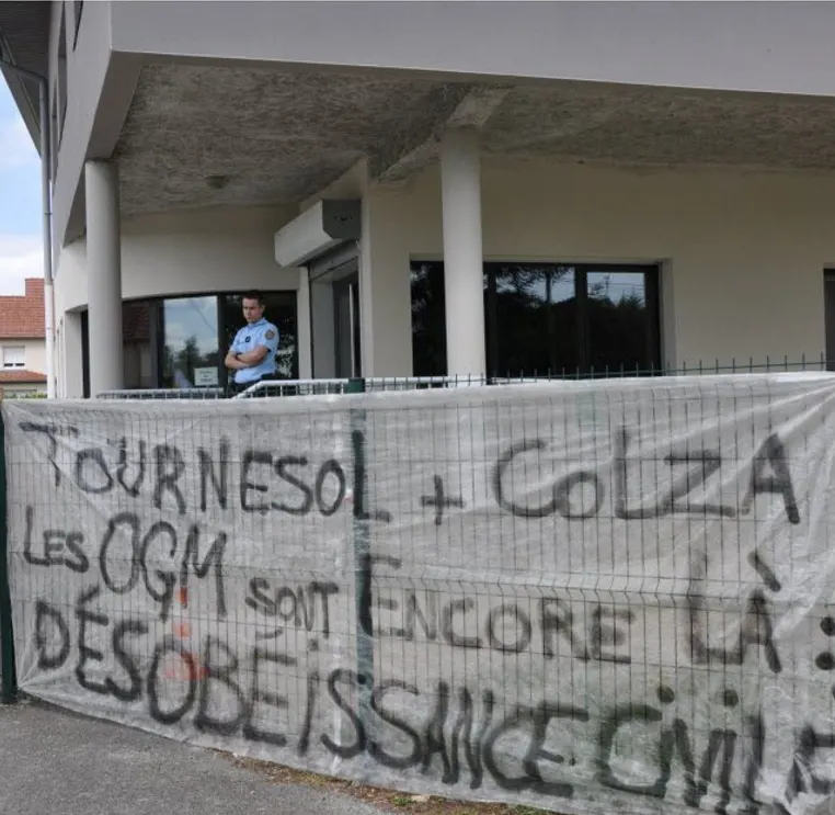 Tournesol et colza, les OGM sont encore là : désobéissance civile !