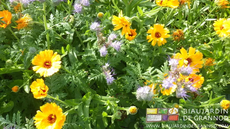 Le Biau Jardin de Grannod