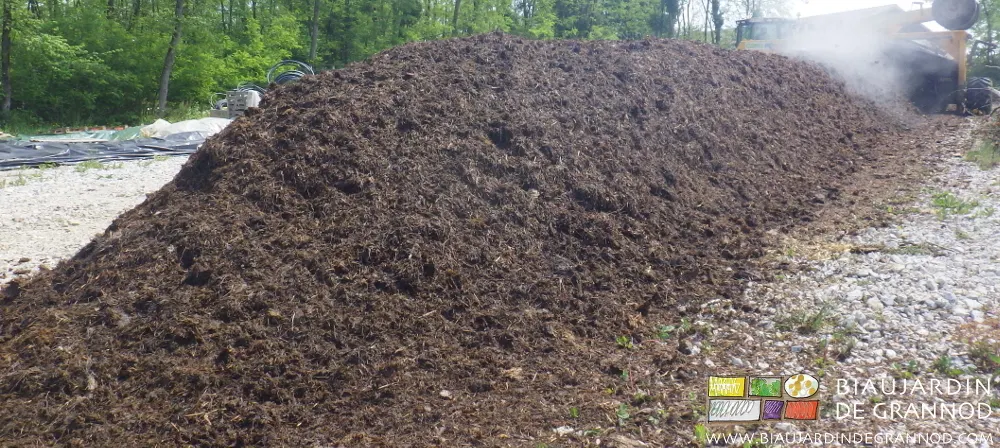 Fumier de bovin rapidement composté