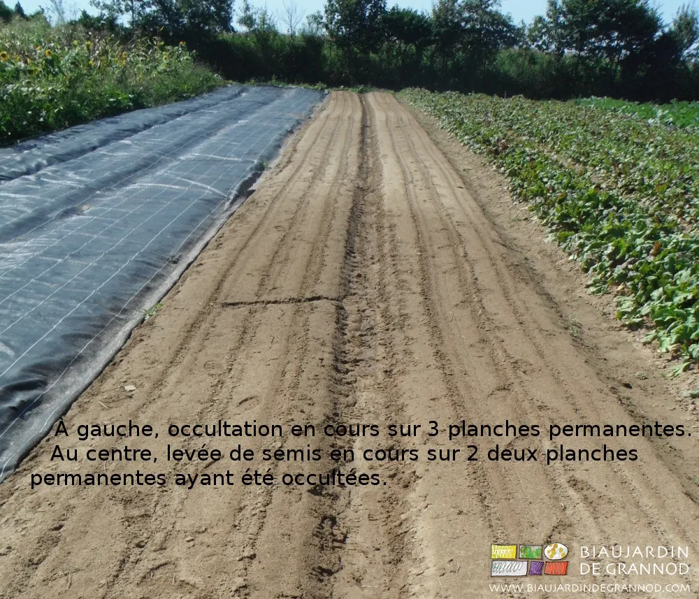 Occultation et débâchage en cours au Biau Jardin de Grannod