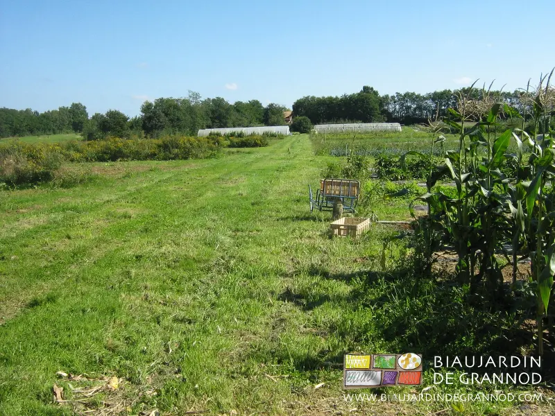 Un jardin bio 100 % en paniers Le Biau Jardin de Grannod