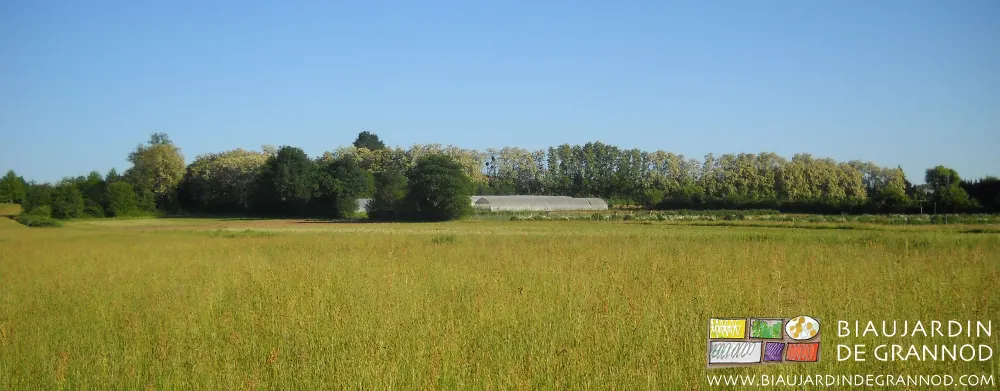 Un milieu rural préservé, diversifié et peu construit : la chance du paysan qui travaille à la campagne, loin de la ville (et / mais aussi des consommateurs).