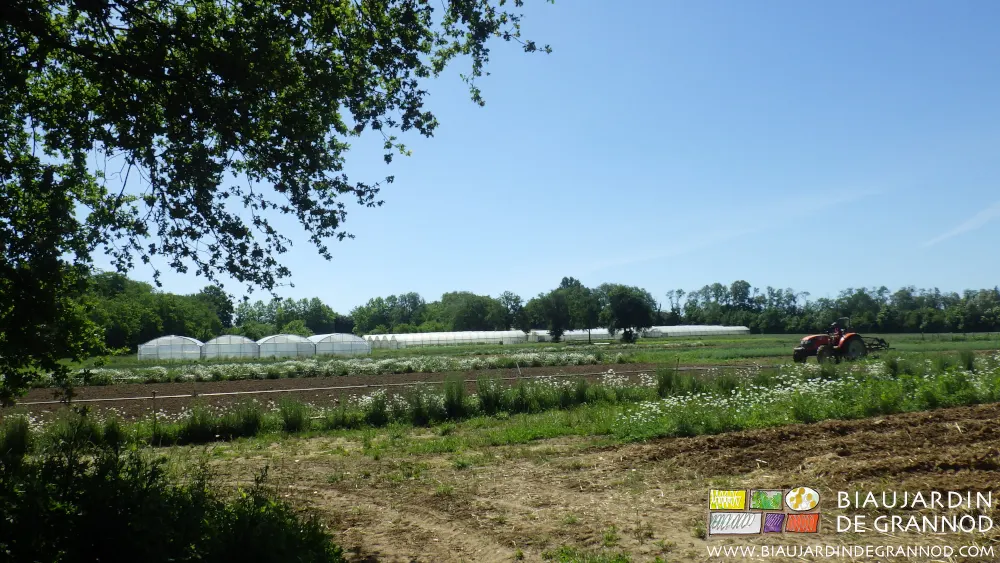 Une ferme jardinière pleine de biodiversité, pour un panier diversifié.
