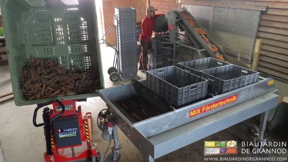 Quelques matériels simples pouréconomiser le temps et le corps du paysan lors de la préparation des légumes.