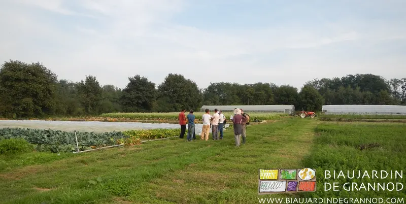 Formation pour jeunes et futurs maraîchersdans le cadre de l'Atelier Paysan Formation pour jeunes et futurs maraîchersdans le cadre de l'Atelier Paysan