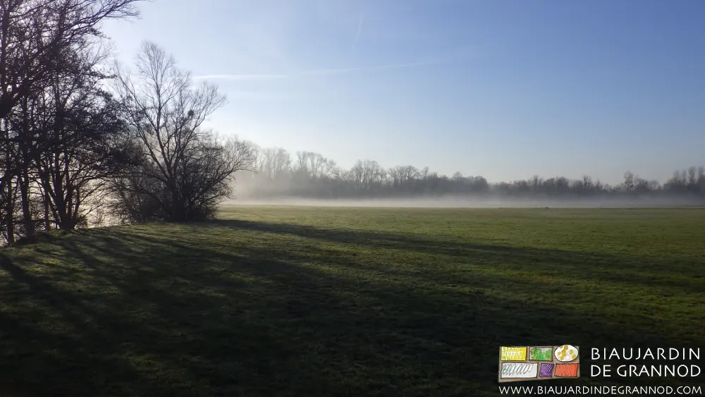 "La brume du matin n'arrête pas le pèlerin"... "La brume du matin n'arrête pas le pèlerin"...