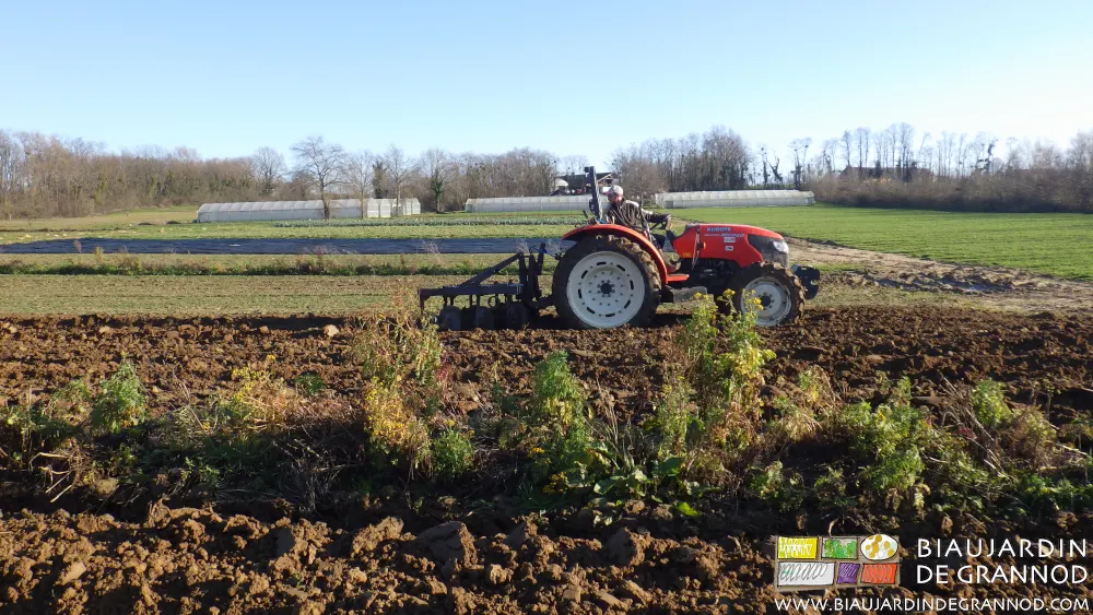 Incorporation d'engrais vert par la butteuse auto-construite.