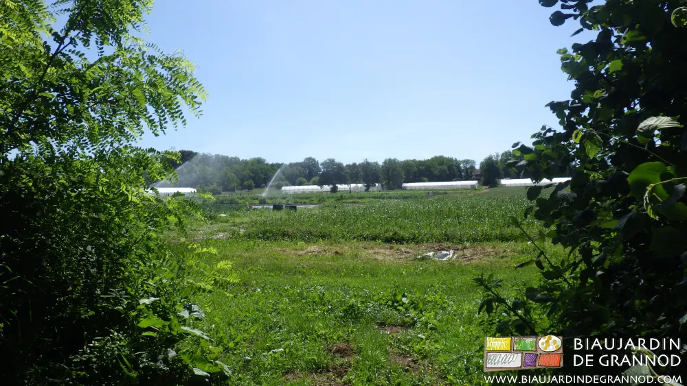 Un jardin maraîcher extensif intégré dans un milieu rural diversifié.