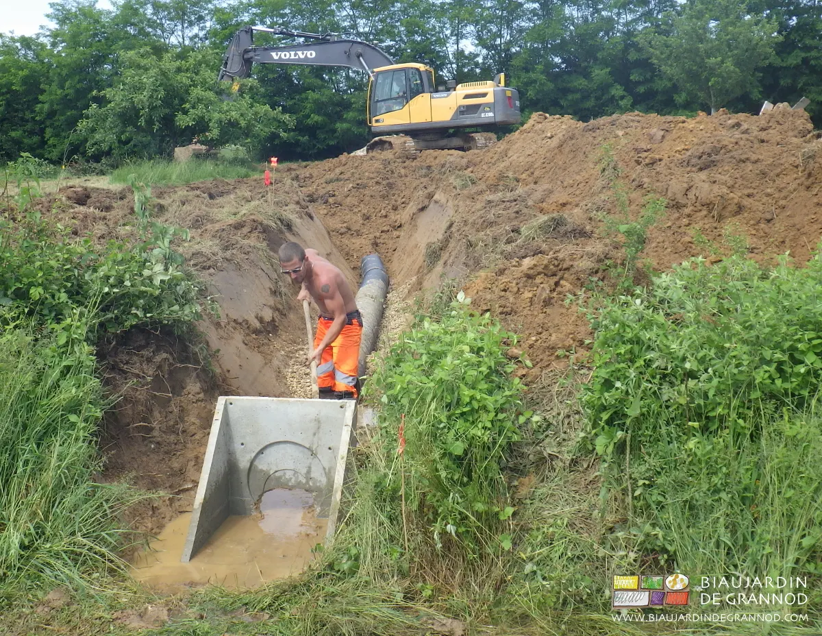 Engins de chantier ET respect des arbres existants.