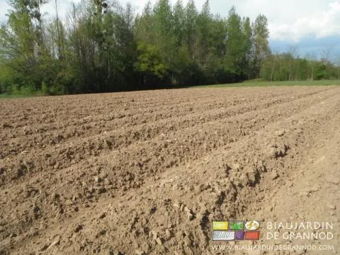planches permanentes montées par un passage de butteuse autoconstruite en stage de l'Atelier Paysan