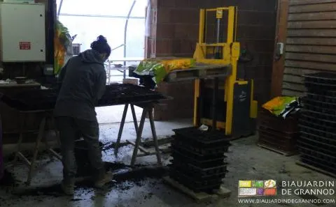 Remplissage des plaques alvéolées pour la fabrication de mottes.