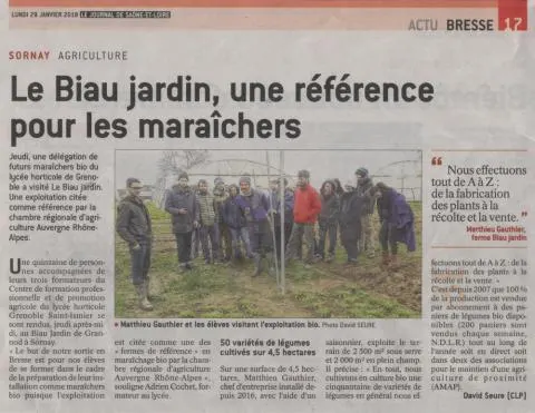 article 