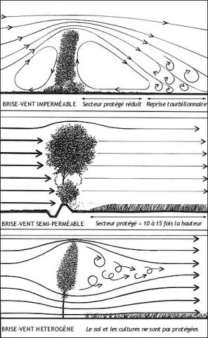 un exemple de la pédagogie Soltner